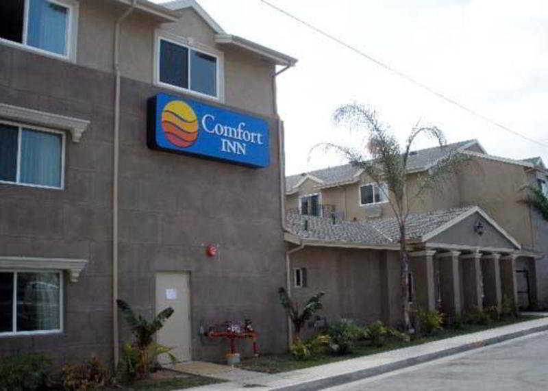Comfort Inn Cockatoo Near LAX Hawthorne Exteriör bild